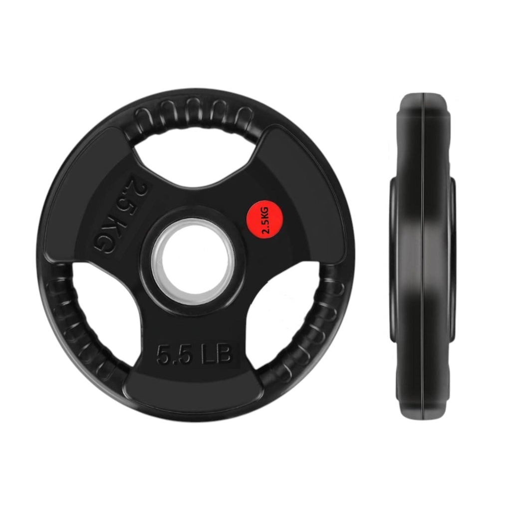 Weight Plates Pair Cast Iron 2" Hole Barbell Weights